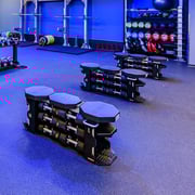 030 - Golds Gym - Northridge - Large-X2-1